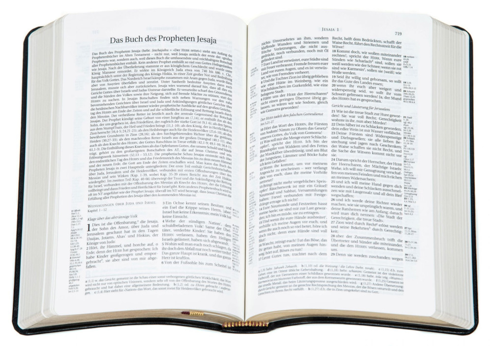 Schlachter 2000 Bibel Taschenausgabe mit Parallelstellen, Kalbsleder-Einband (flexibel), schwarz...