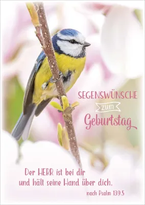 Postkarten Meise
