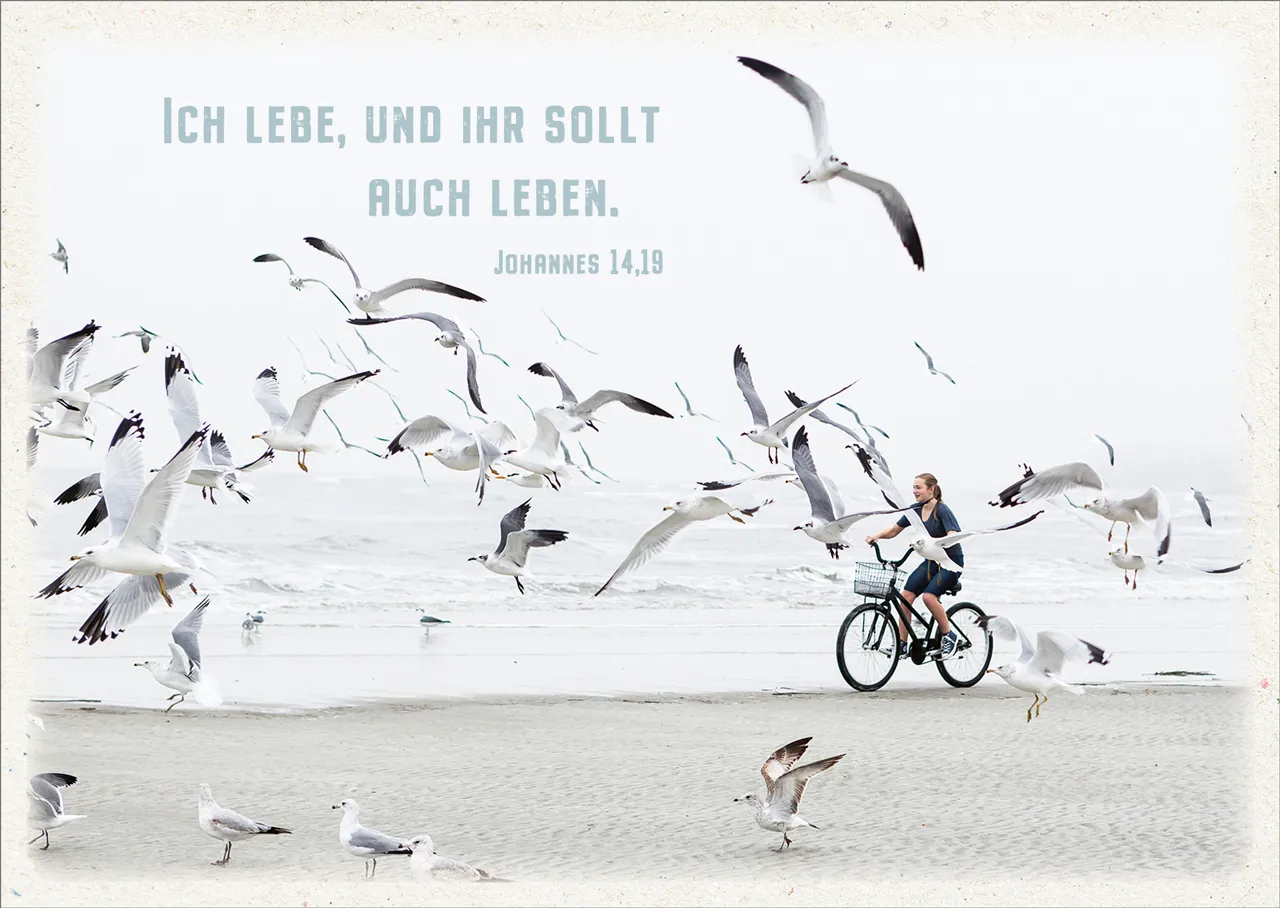 Postkarten Ich lebe - Möven am Strand