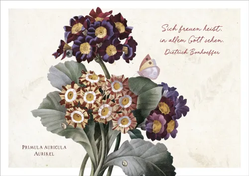 Postkarten In allem Gott sehen - Primel