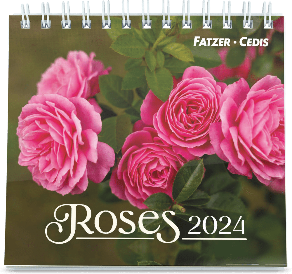Roses - Petit calendrier avec 12 magnifiques photos de roses