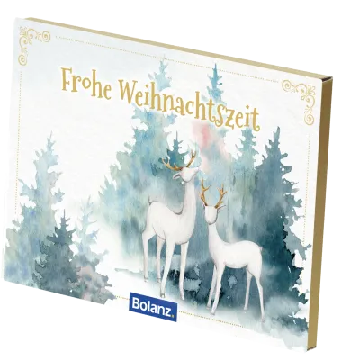 Postkartenbox Weihnachten „Frohe Weihnachtszeit“ - 12 verschiedene Postkarten in einer Box mit...
