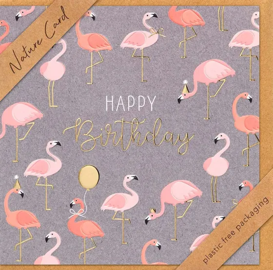 Doppelkarte Flamingos