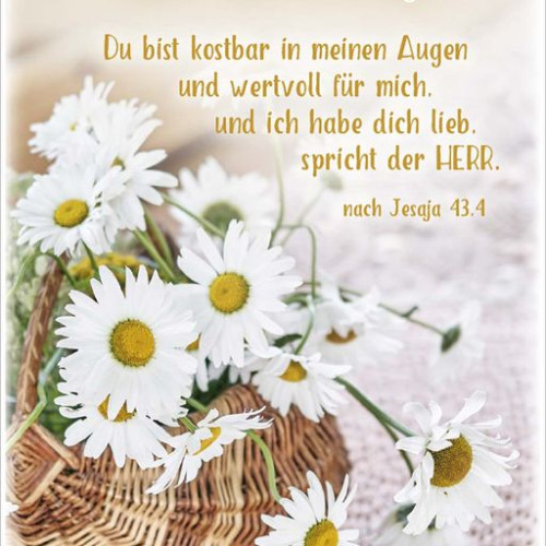 Doppelkarte Margerite - Geburtstag