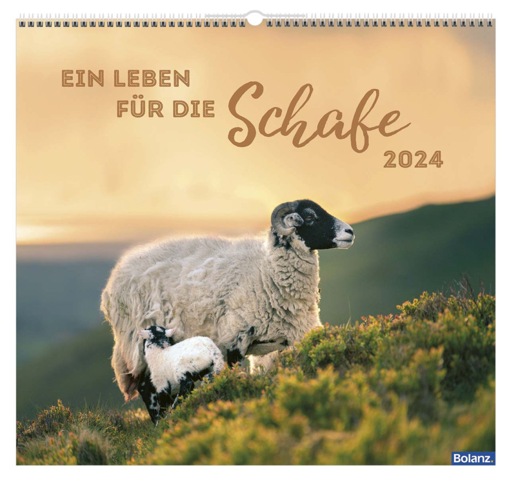 Kalender Ein Leben für die Schafe - Wandkalender