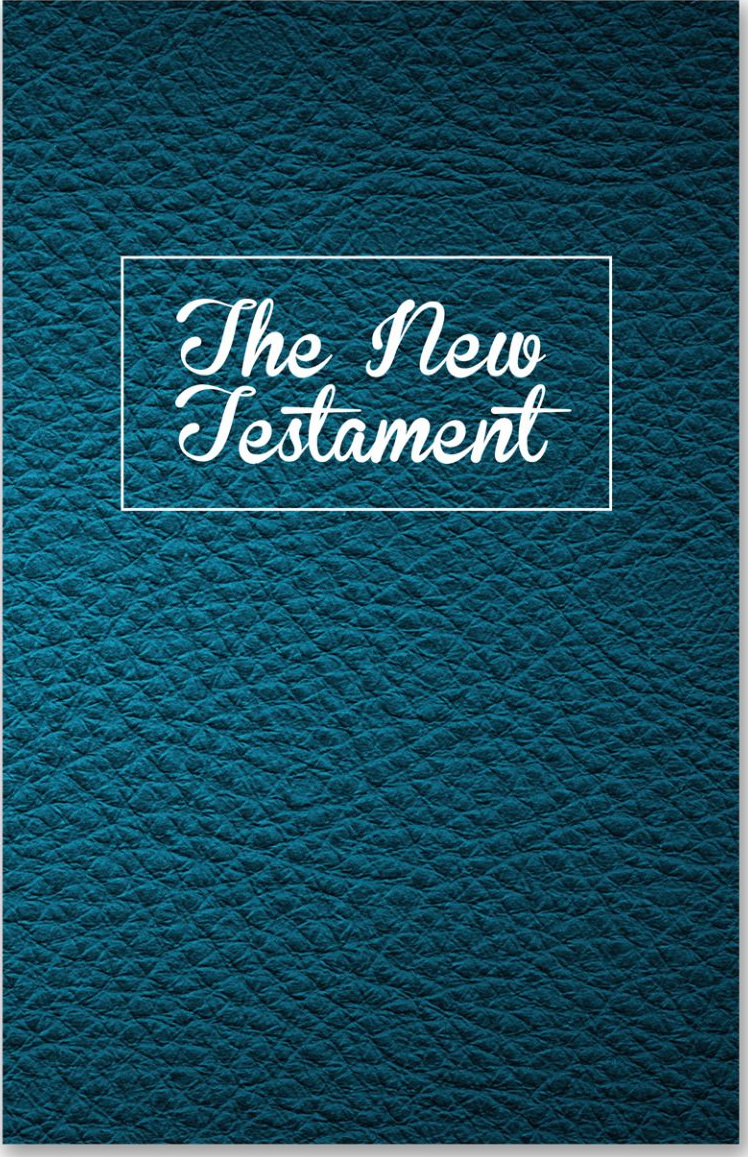 Anglais, Nouveau Testament NLT, brochée
