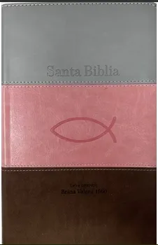 Espagnol, Bible Reina Valera 1960, gros caractères, couverture tricolore rose/blanc/marron