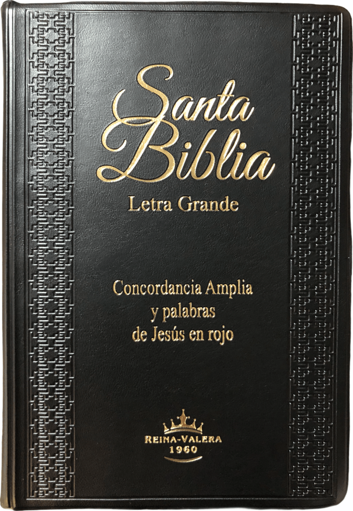 Espagnol, Bible Reina Valera 1960, gros caractères, vinyl, noir, index, concordance