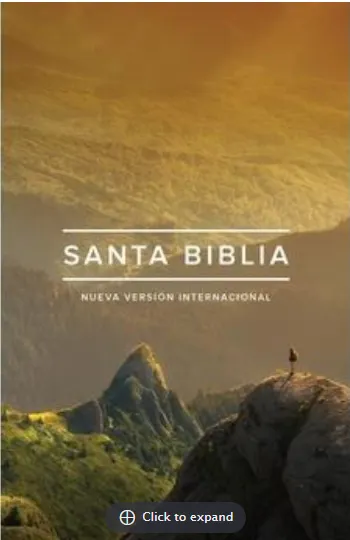 NVI Biblia edición ministerial