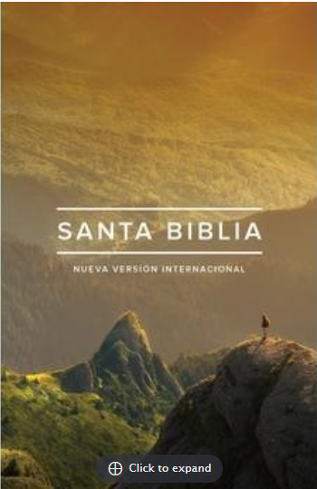 NVI Biblia edición ministerial