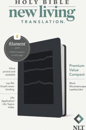 Anglais, Bible, New Living Translation, compacte, souple, similicuir, grise
