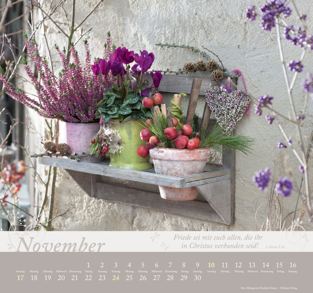 Kalender Im Garten zuhause - Posterkalender