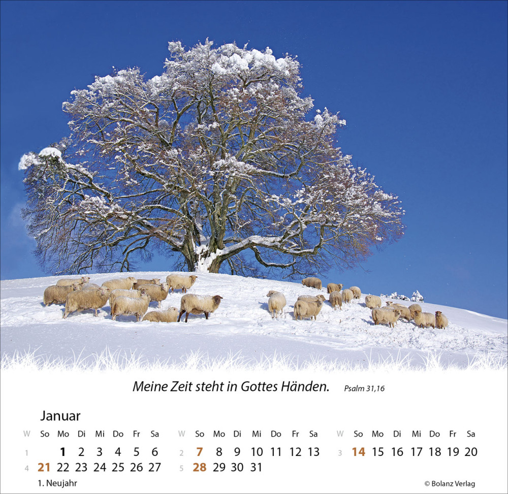 Kalender Ein Leben für die Schafe - Tischkalender