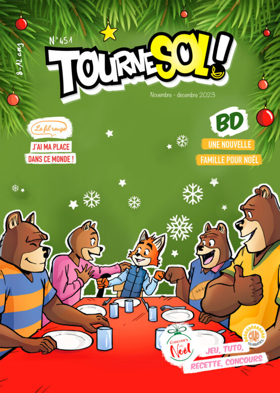 Tournesol spécial Noël 2024 - Lot de 10 exemplaires