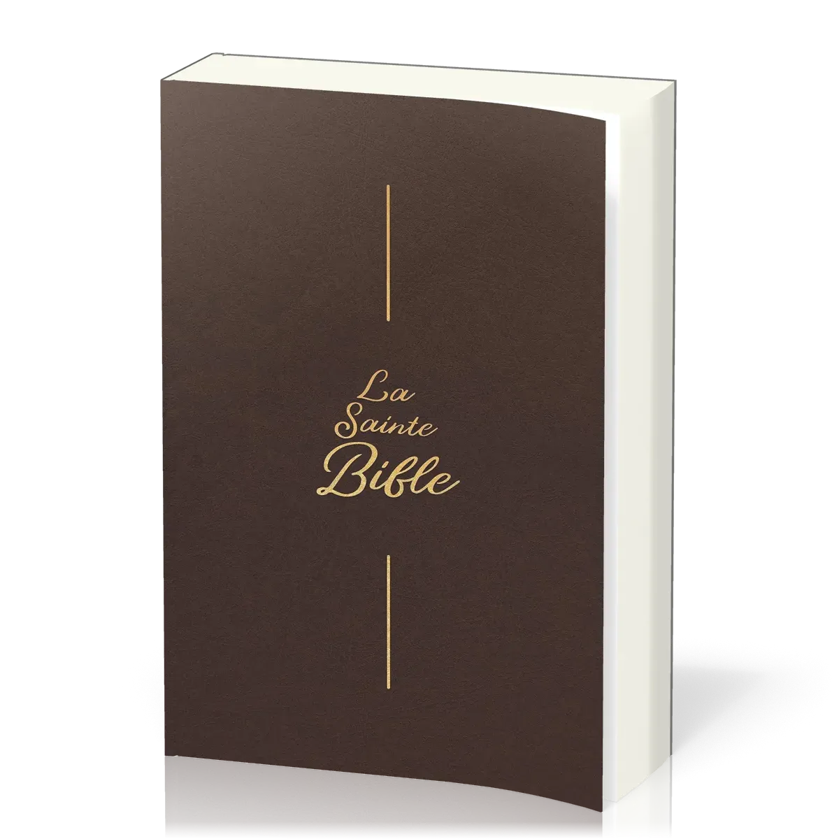 Bible Segond 1910, gros caractères, souple, vinyle brun - 2 rubans marque-pages