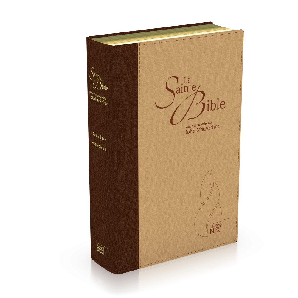 Bible d'étude Segond NEG MacArthur - couverture souple en toile, tranche or, brun/beige
