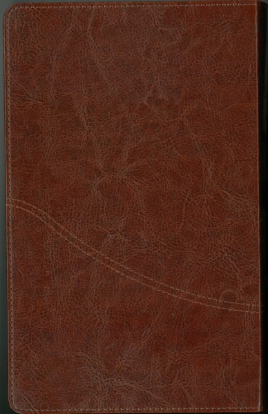 Farsi (Persan), Bible, reliée, similicuir, brune