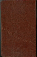 Farsi (Persan), Bible, reliée, similicuir, brune