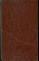 Farsi (Persan), Bible, reliée, similicuir, brune