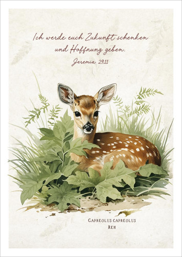 Postkarten Ich werde euch Zukunft schenken und Hoffnung geben - Reh