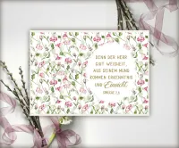 Postkarten Erkenntnis und Einsicht - Sprüche 2,6