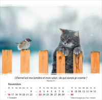 Vivre, avec méditations - Calendrier cartes postales, de table