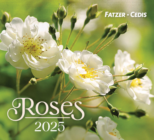 Roses - Petit calendrier avec 12 magnifiques photos de roses