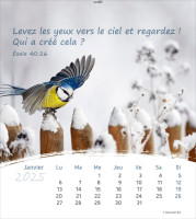 Français, La Vie pour toi - calendrier cartes postales