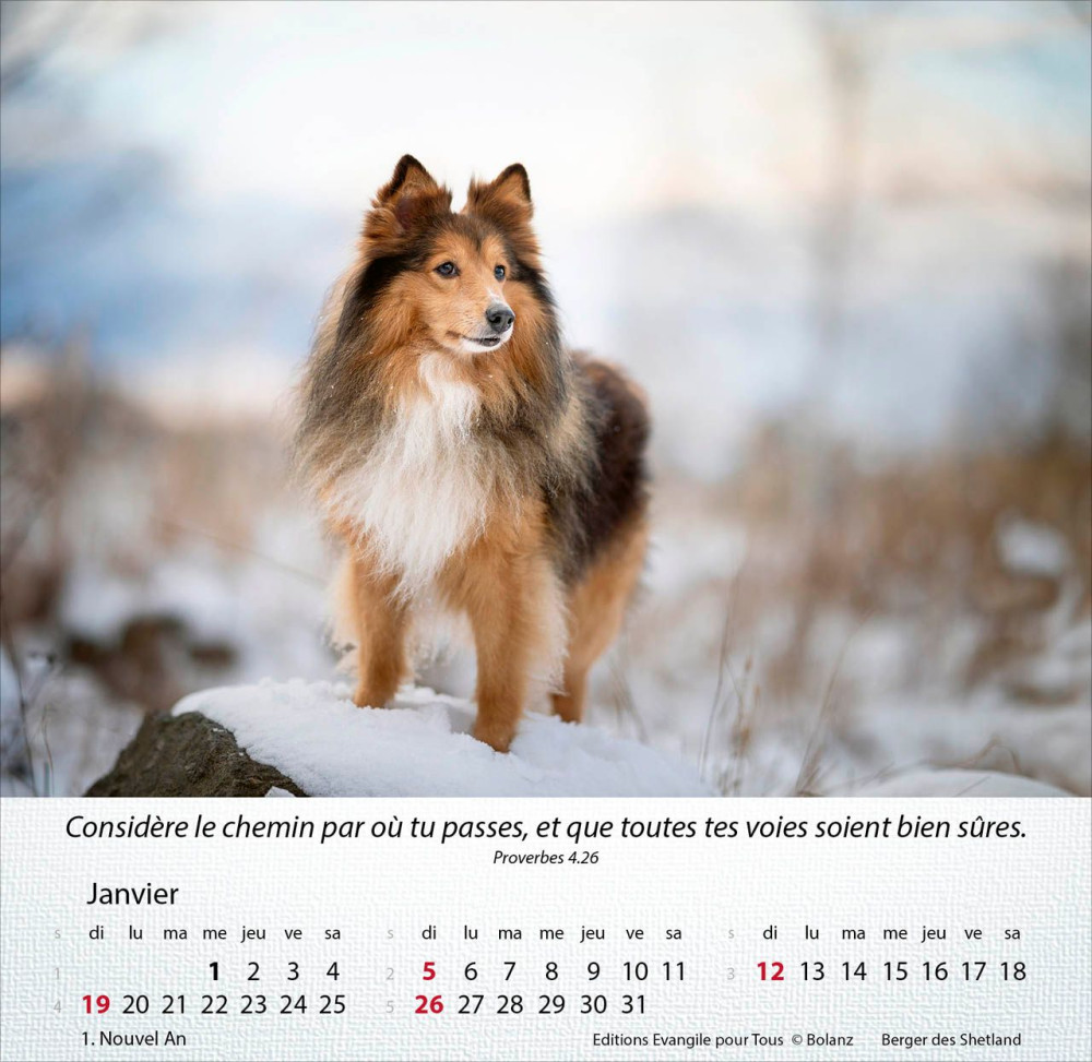 Chiens, Merveilles de la création - Calendrier de table