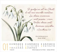 Beauté de la Création - Mini calendrier de table