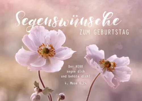 Postkarten Segenswünsche zum Geburtstag - 4. Mose 6,24