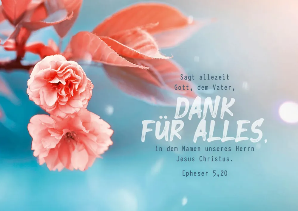Postkarten Dank für Alles - Epheser 5,20