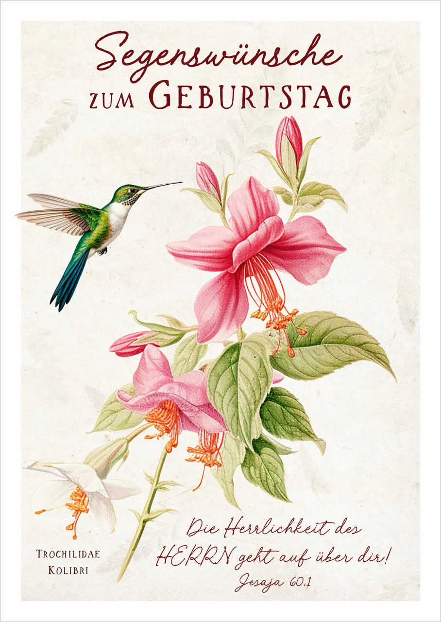 Postkarten farbenfroher Kolibri - Jesaja 60,1