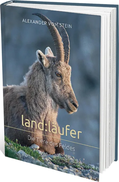 Land:läufer - Die Tiere des Feldes