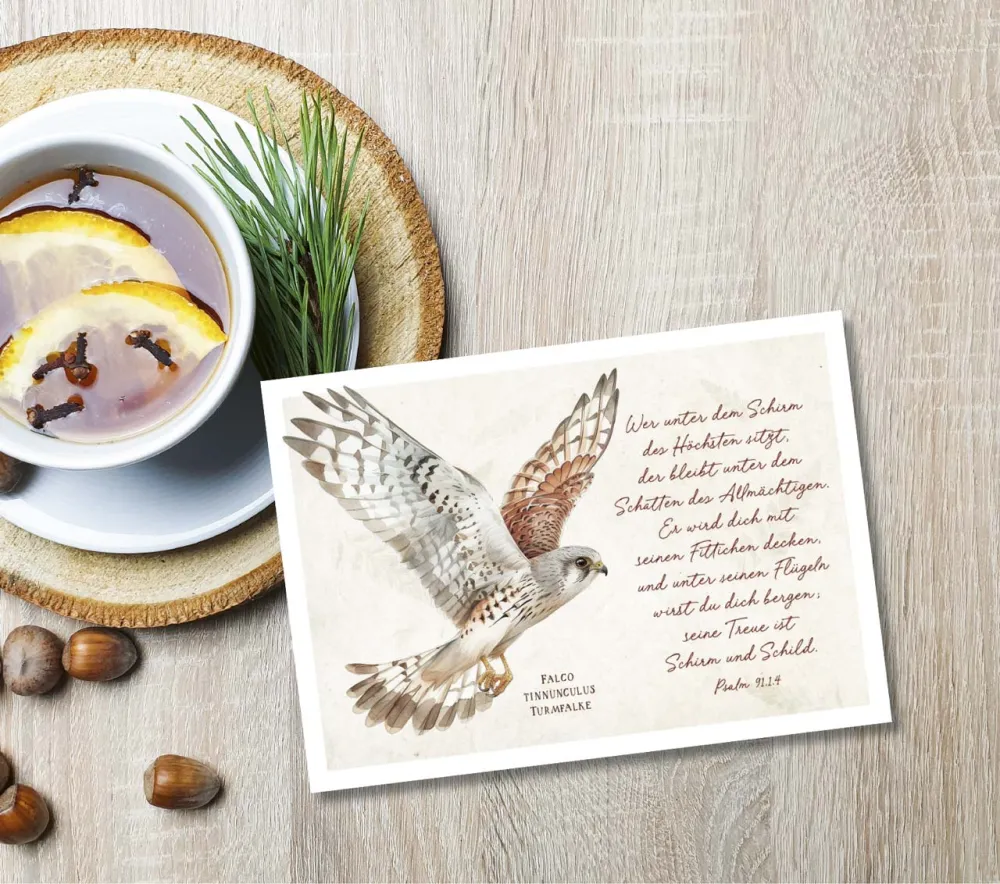 Postkarten majestätischer Turmfalke - Psalm 91,1.4