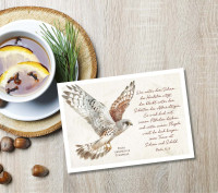 Postkarten majestätischer Turmfalke - Psalm 91,1.4