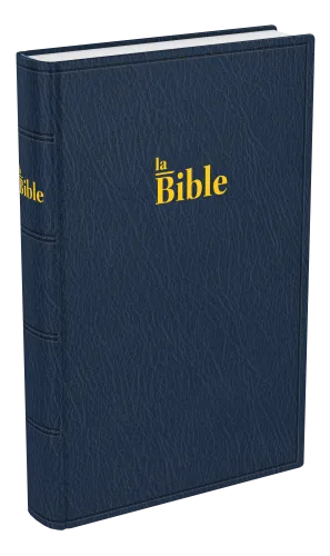 Bible Darby, format standard, bleu - couverture souple