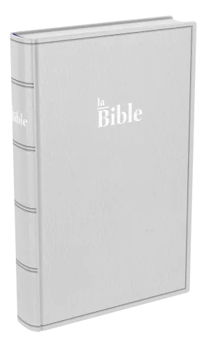 Bible Darby, format standard, gris - couverture souple