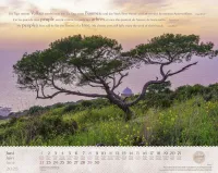 Calendrier Israël Merveilles, trilingue: français, allemand, anglais - Mural Calendrier Israël Merveilles, trilingue: français, allemand, anglais - Mural