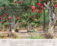 Calendrier Israël Merveilles, trilingue: français, allemand, anglais - Mural Calendrier Israël Merveilles, trilingue: français, allemand, anglais - Mural