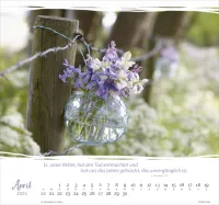 Meine Zeit - Hoffnung und Vertrauen für ein ganzes Jahr - Wandkalender