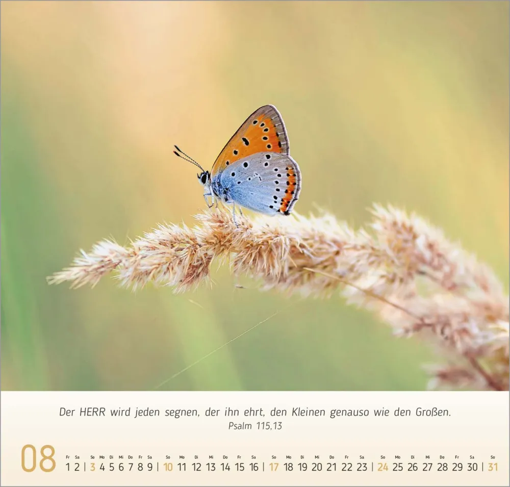 Gesichter der Natur - Wandkalender