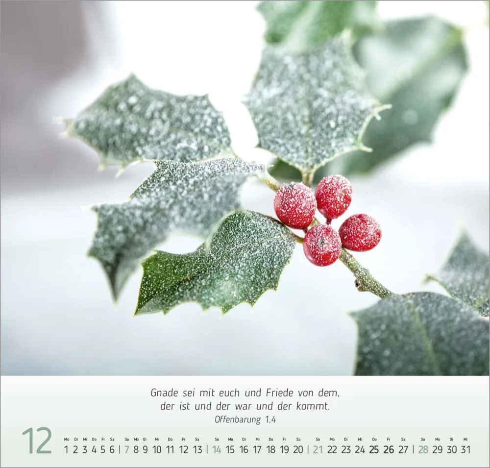 Gesichter der Natur - Wandkalender