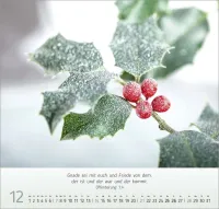 Gesichter der Natur - Wandkalender