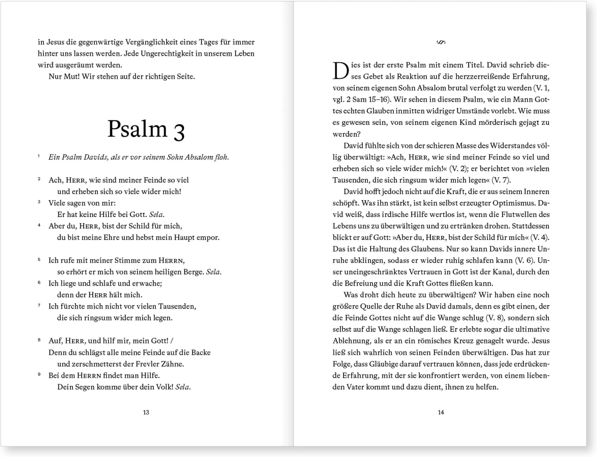 Du bist mein Fels - In 150 Andachten durch die Psalmen