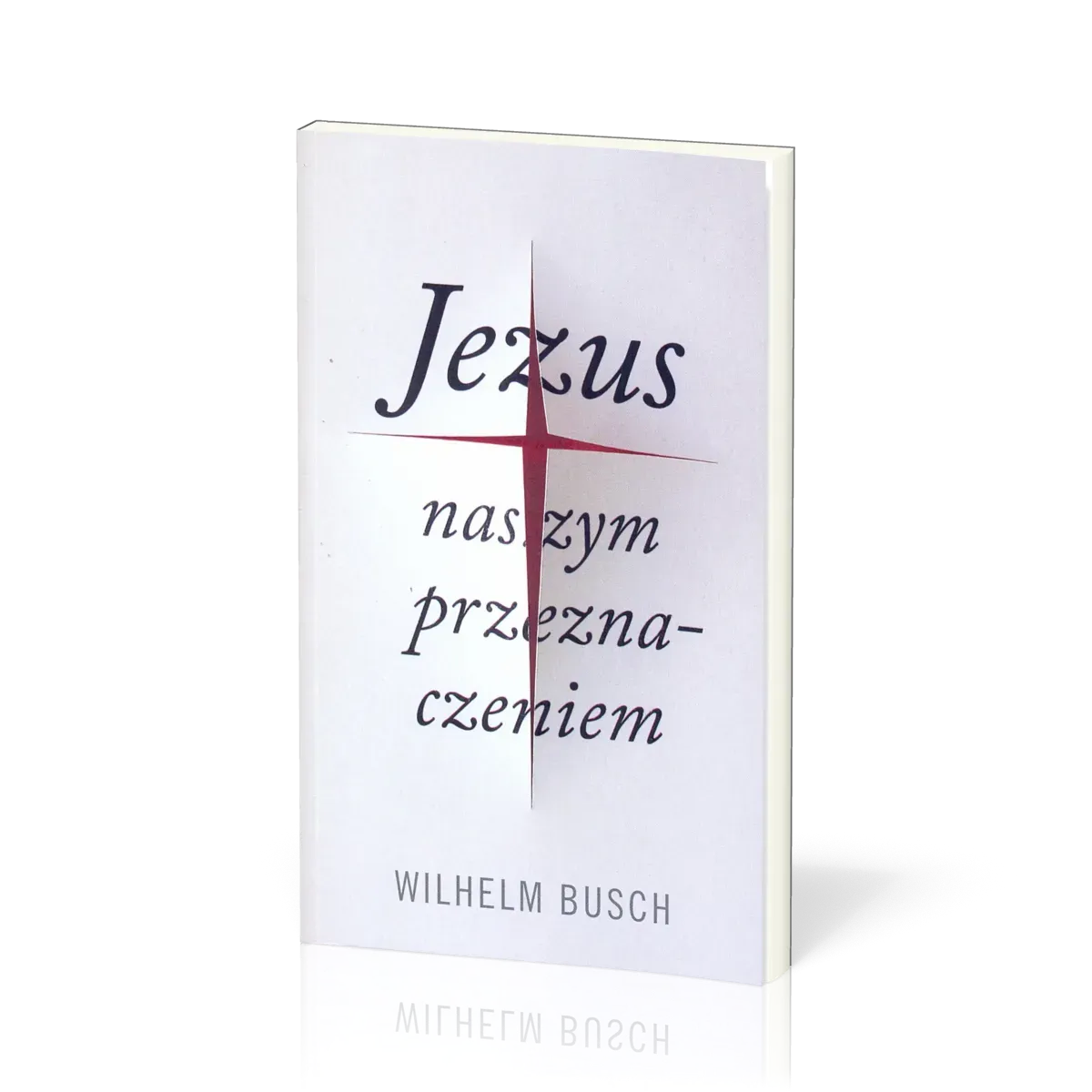 Polonais - Jésus notre destin - version abrégée