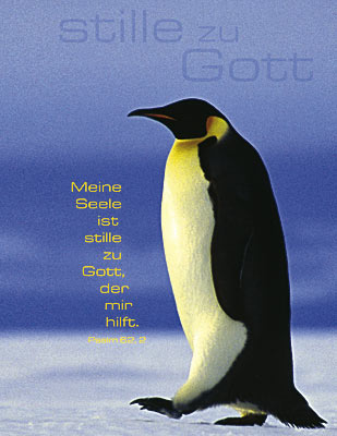 BLANKBOOK PINGUIN - CAHIER BLANC CHEMIN A SUIVRE