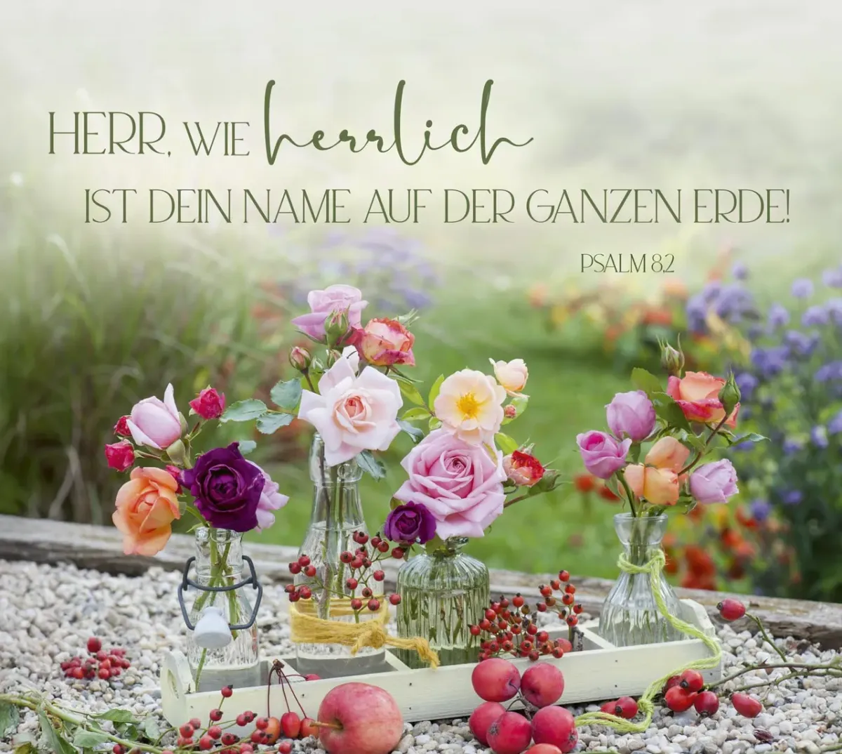Aufstellbuch gross - Im Garten zuhause - mit 24 Postkarten
