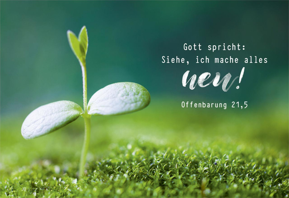 Minikarten Jahreslosung 