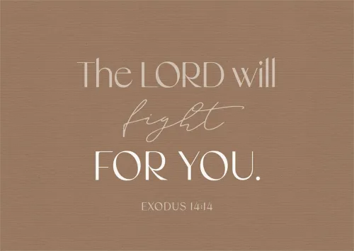 Postkarten Fight - Exodus 14:14